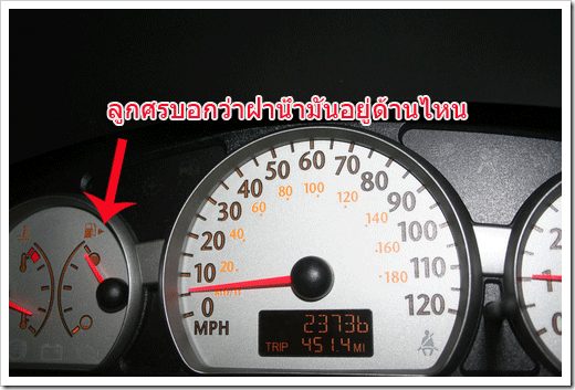 dashboard-3-show