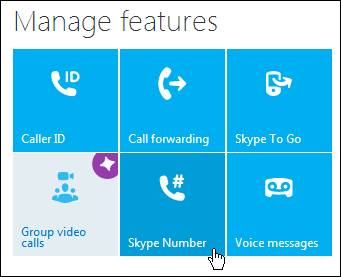 skype number manager page
