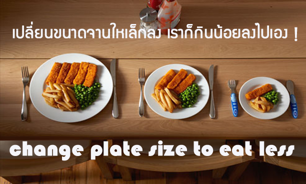 เปลี่ยนจานให้เล็กลง เราก็กินข้าวน้อยลงได้เอง
