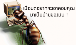 computer should avoid ant to go inside