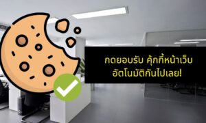 cookie auto accept chrome extension