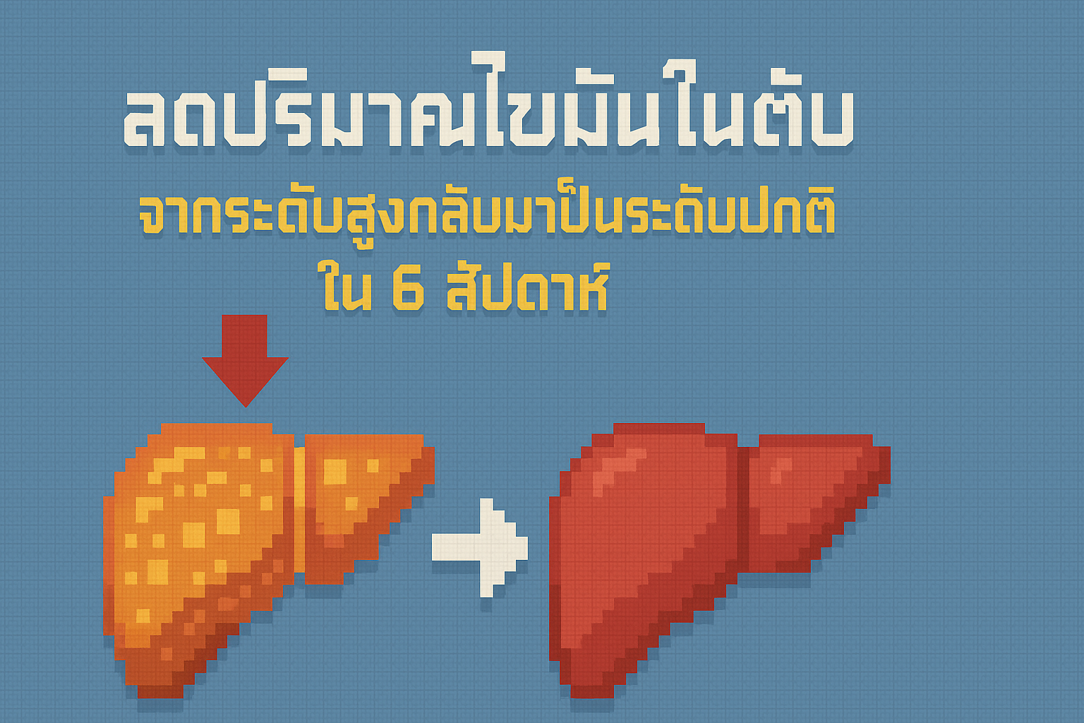 ลดปริมาณไขมันในตับออกได้จากระดับไขมันระดับสูงกลับมาเป็นระดับปกติใน 6 สัปดาห์​